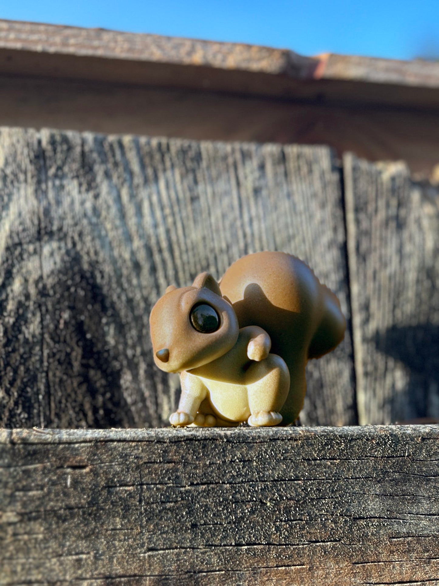 Brown squirrel with blonde belly figure