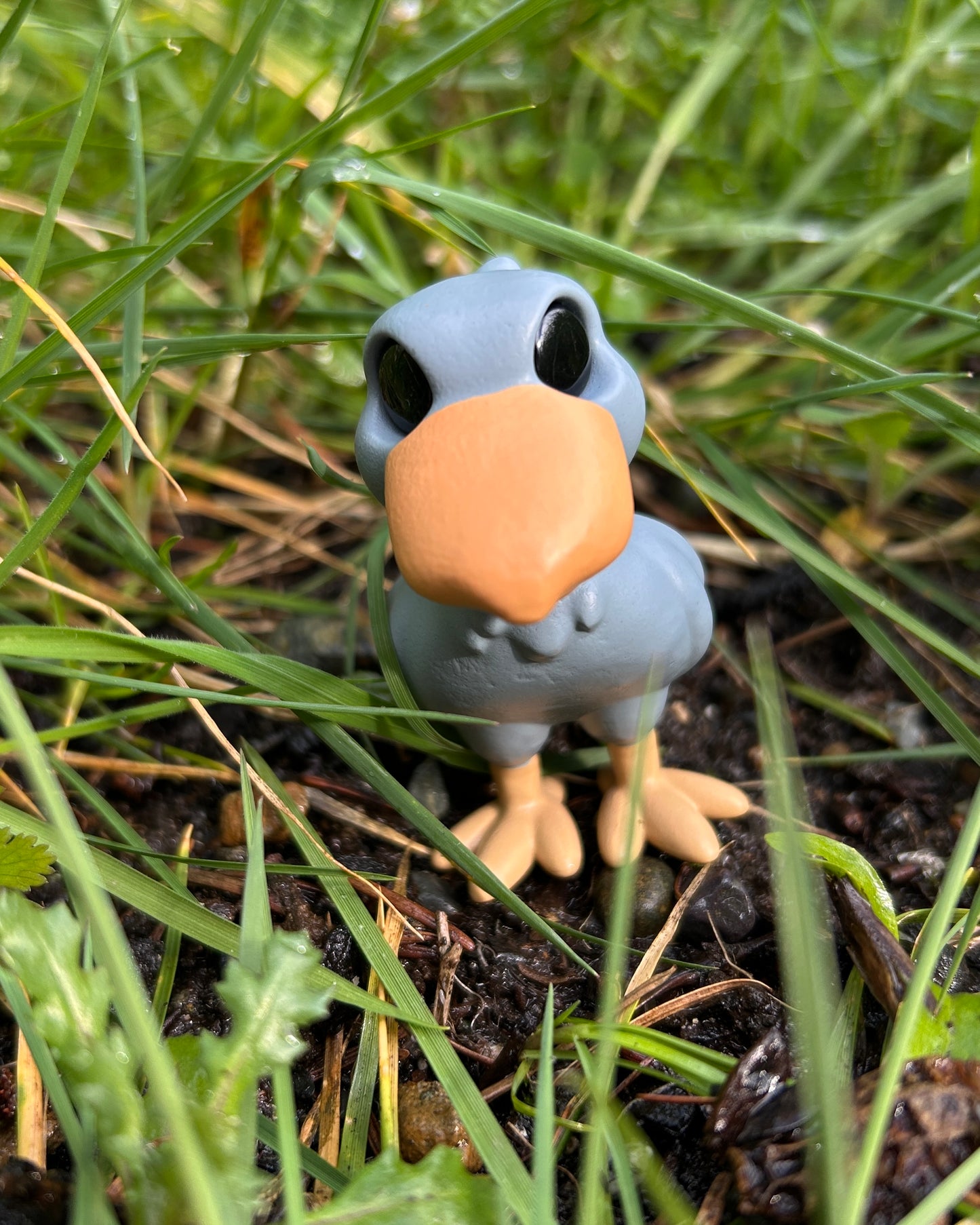 Deino the shoebill