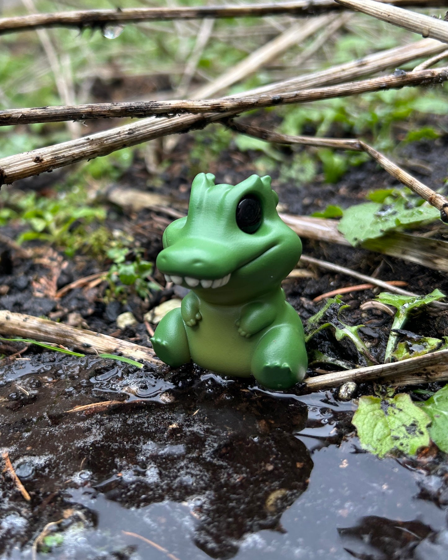 Alan the alligator