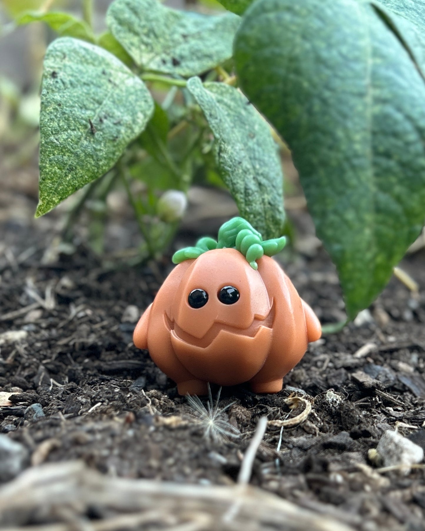 Gourdon the pumpkin