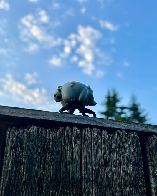 Jimothy the raccoon
