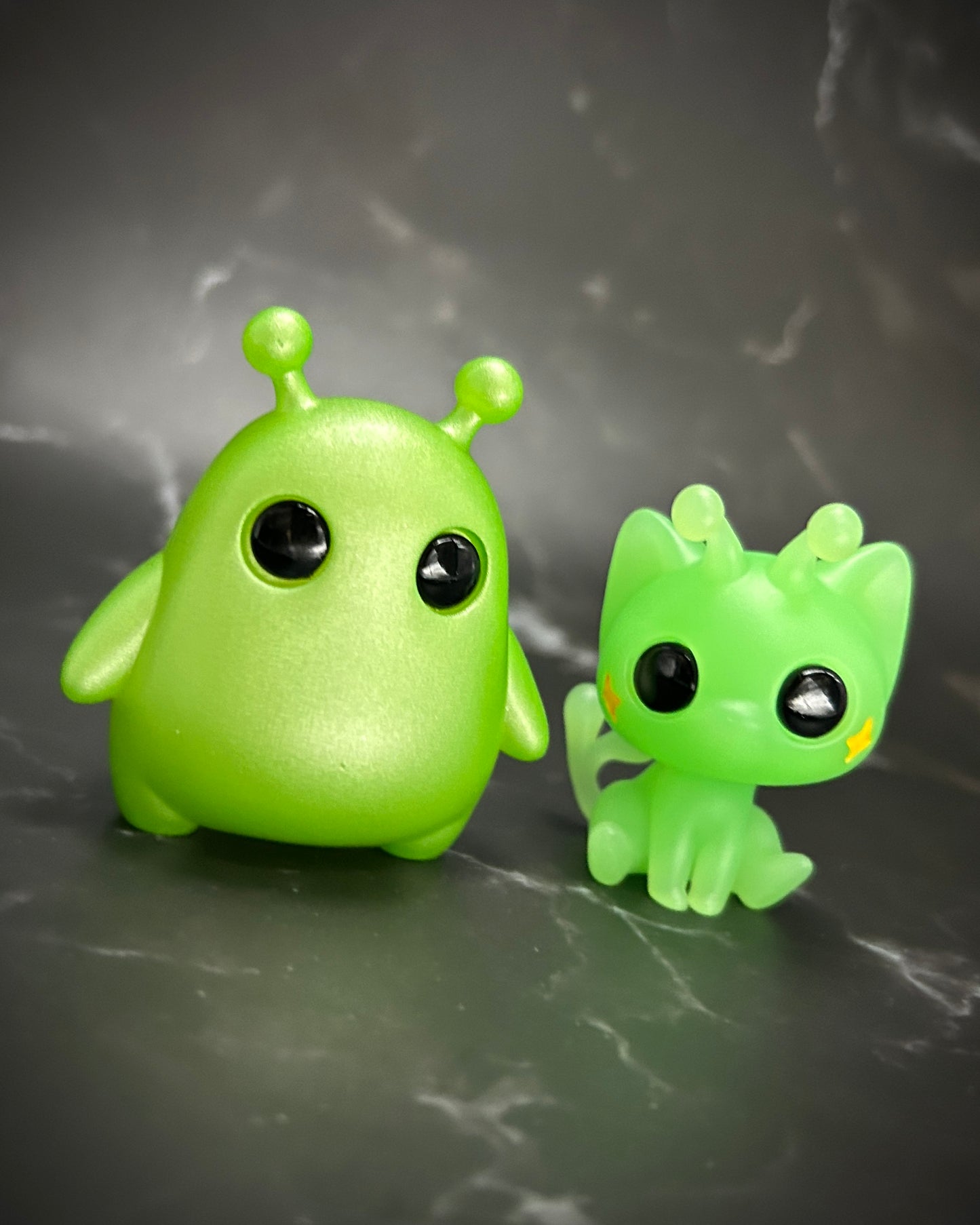Wasabi the alien cat