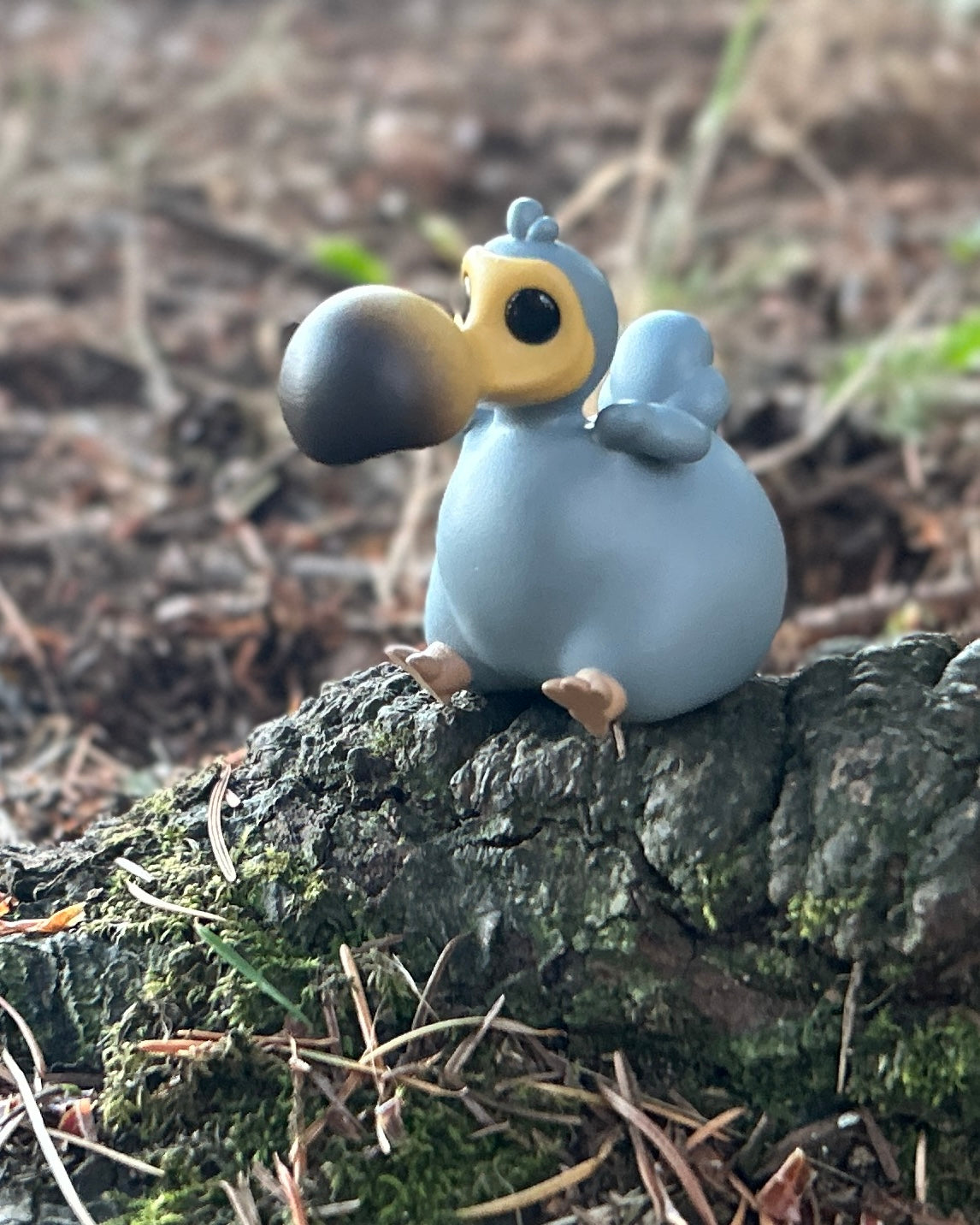 Didi the dodo