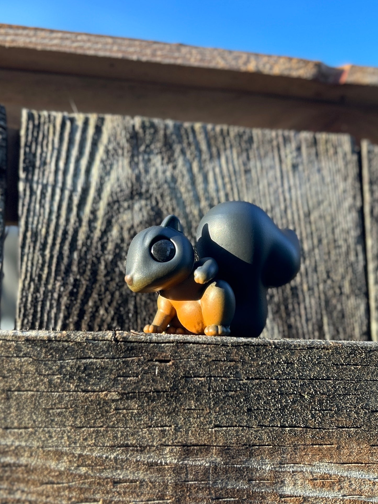 Black squirrel with red belly figure