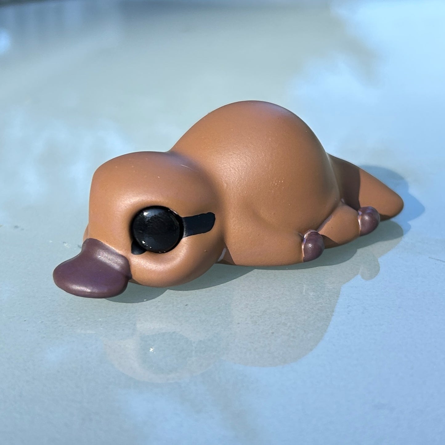 Platypus lying down