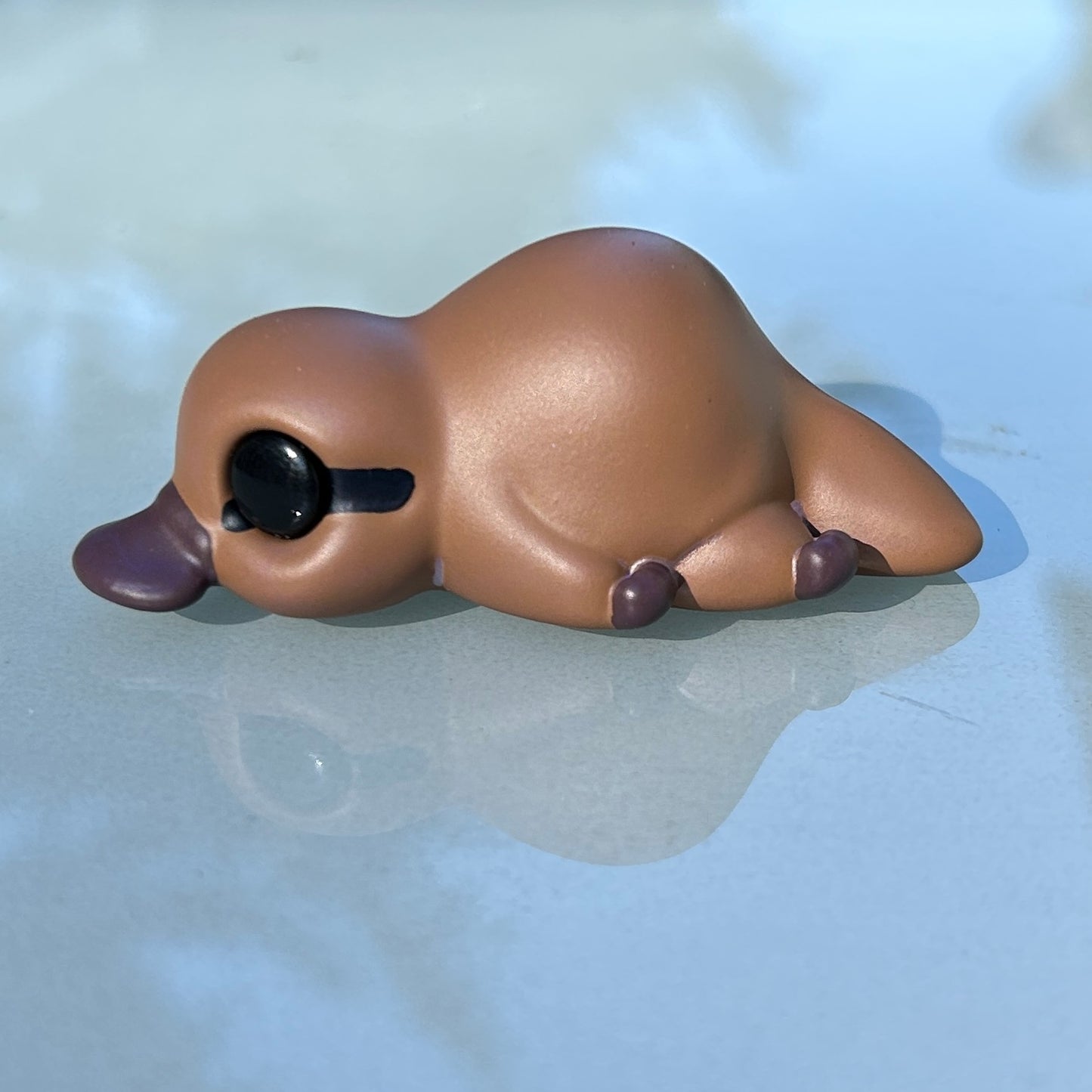 Platypus lying down