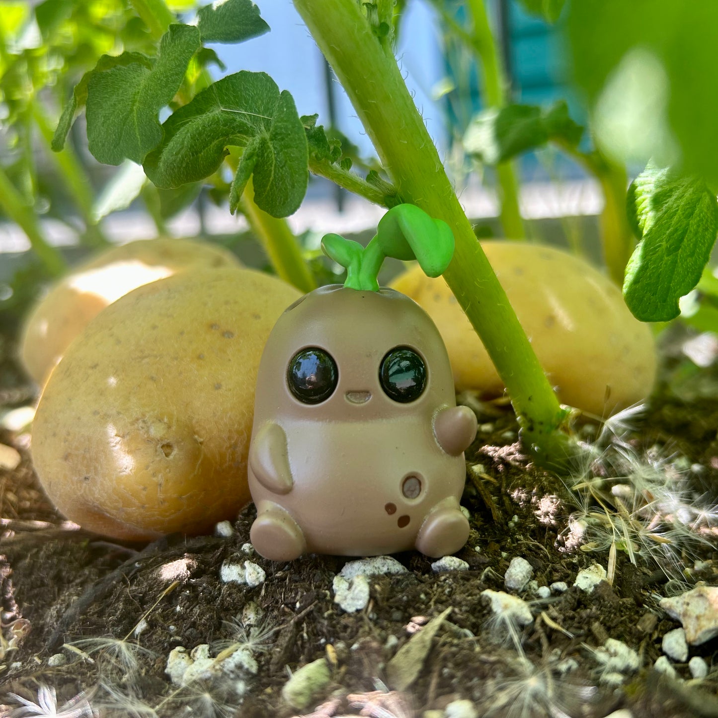 Spud
