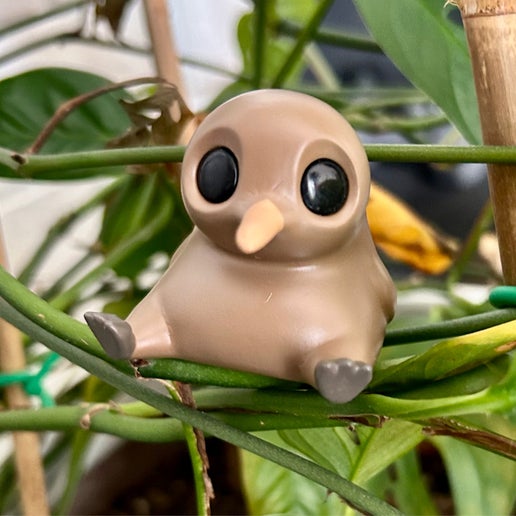 Tiwi