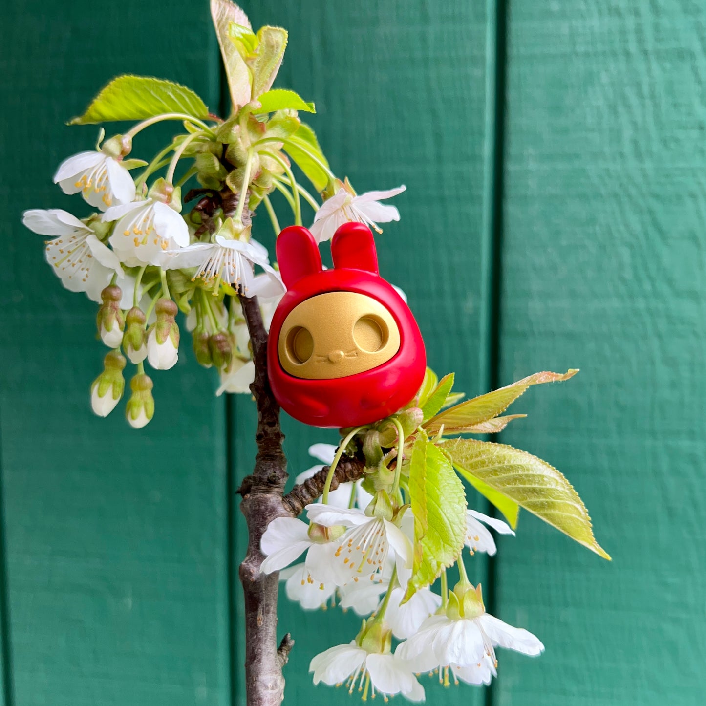 No-eyed Daruma sitting in a cherry blossom tree