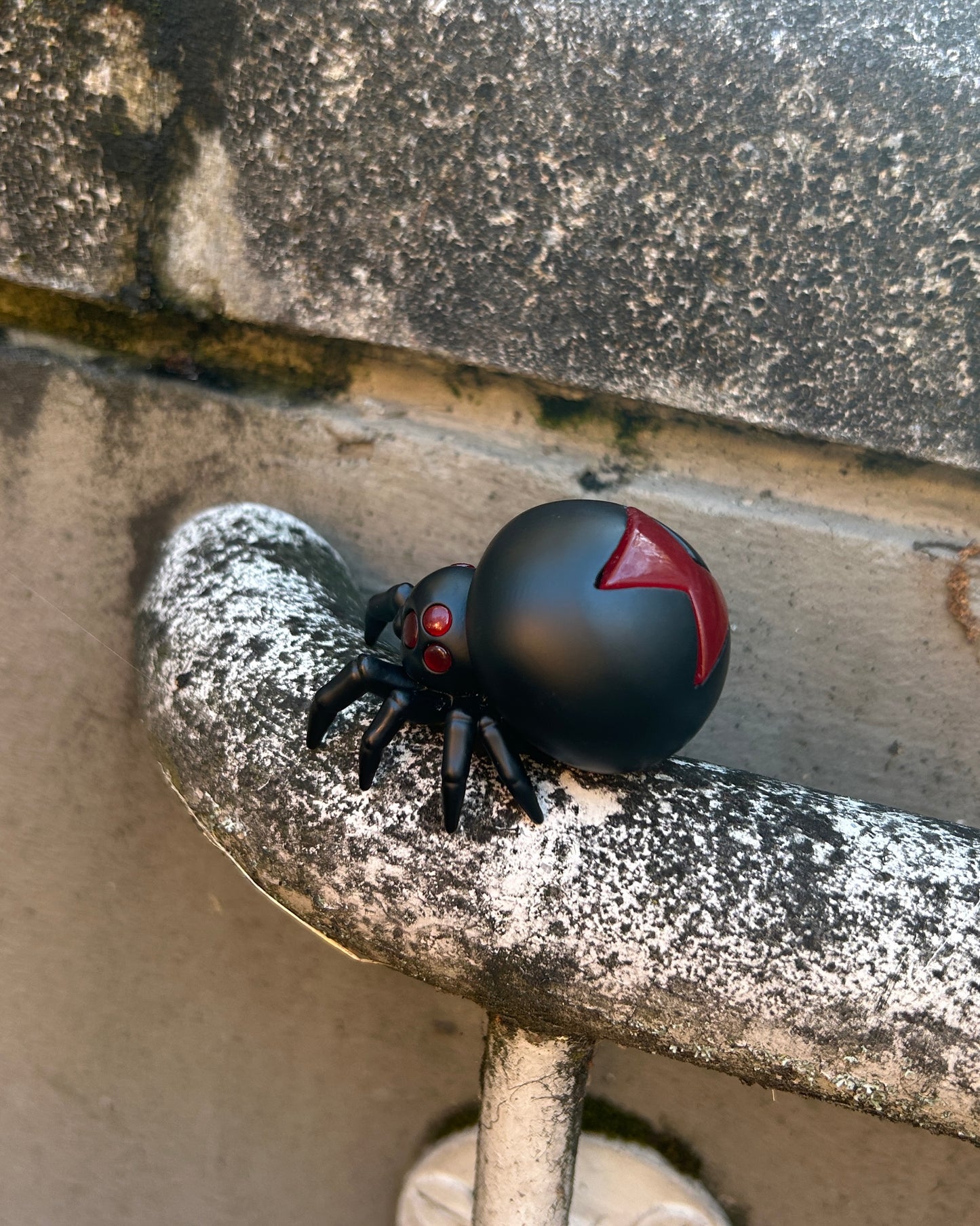 Scarlett the Black Widow Spider