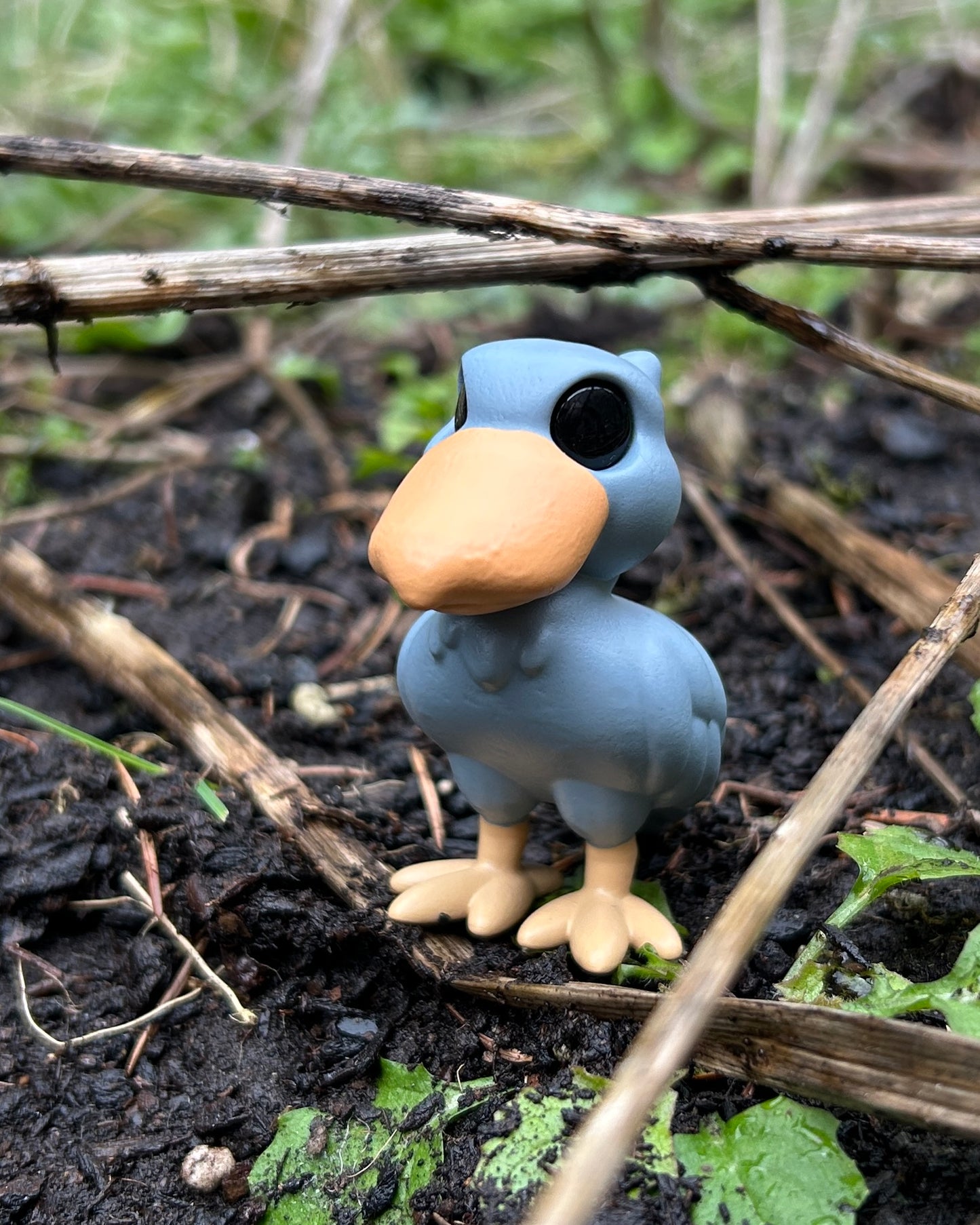 Deino the shoebill