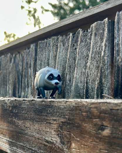Jimothy the raccoon