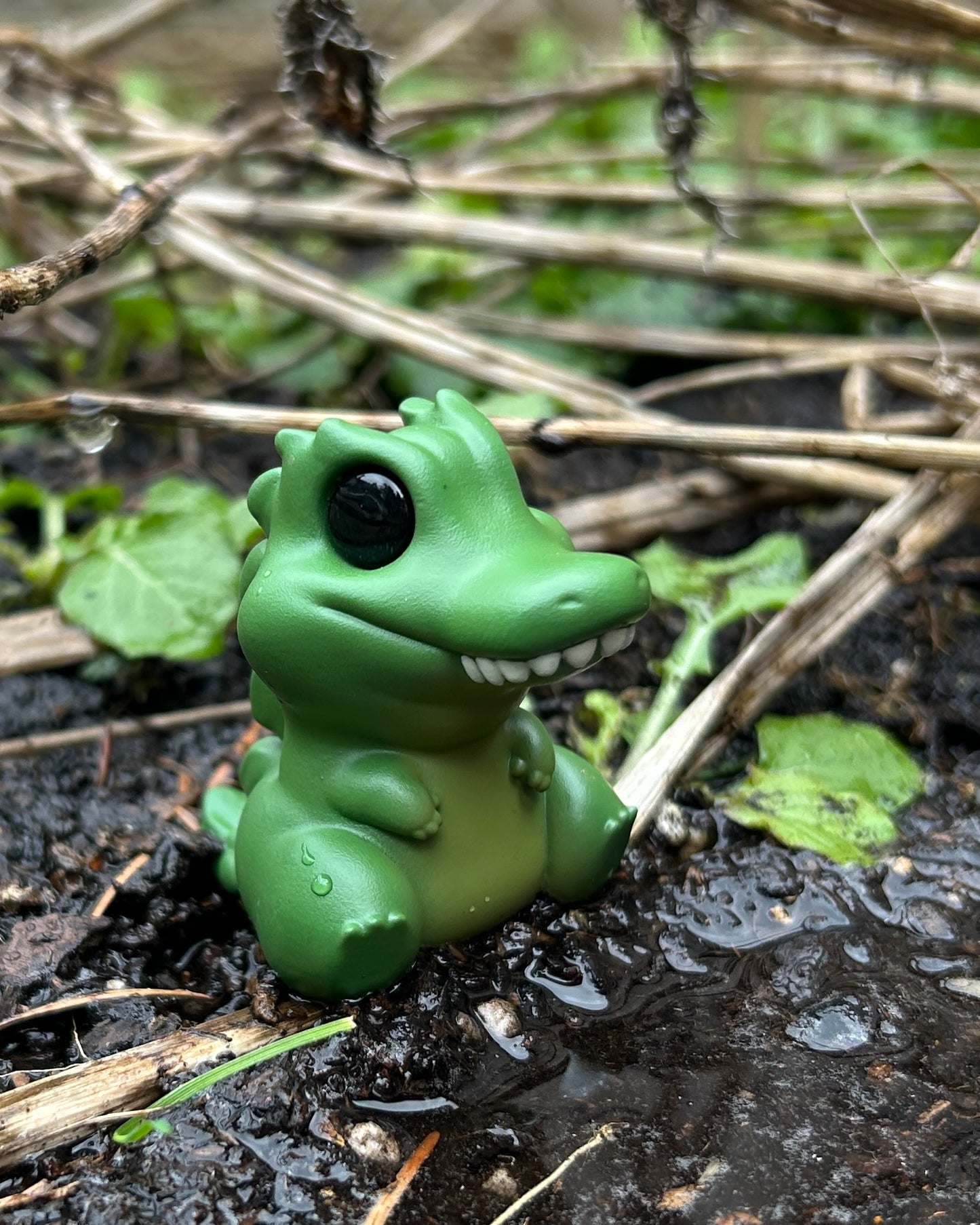 Alan the alligator