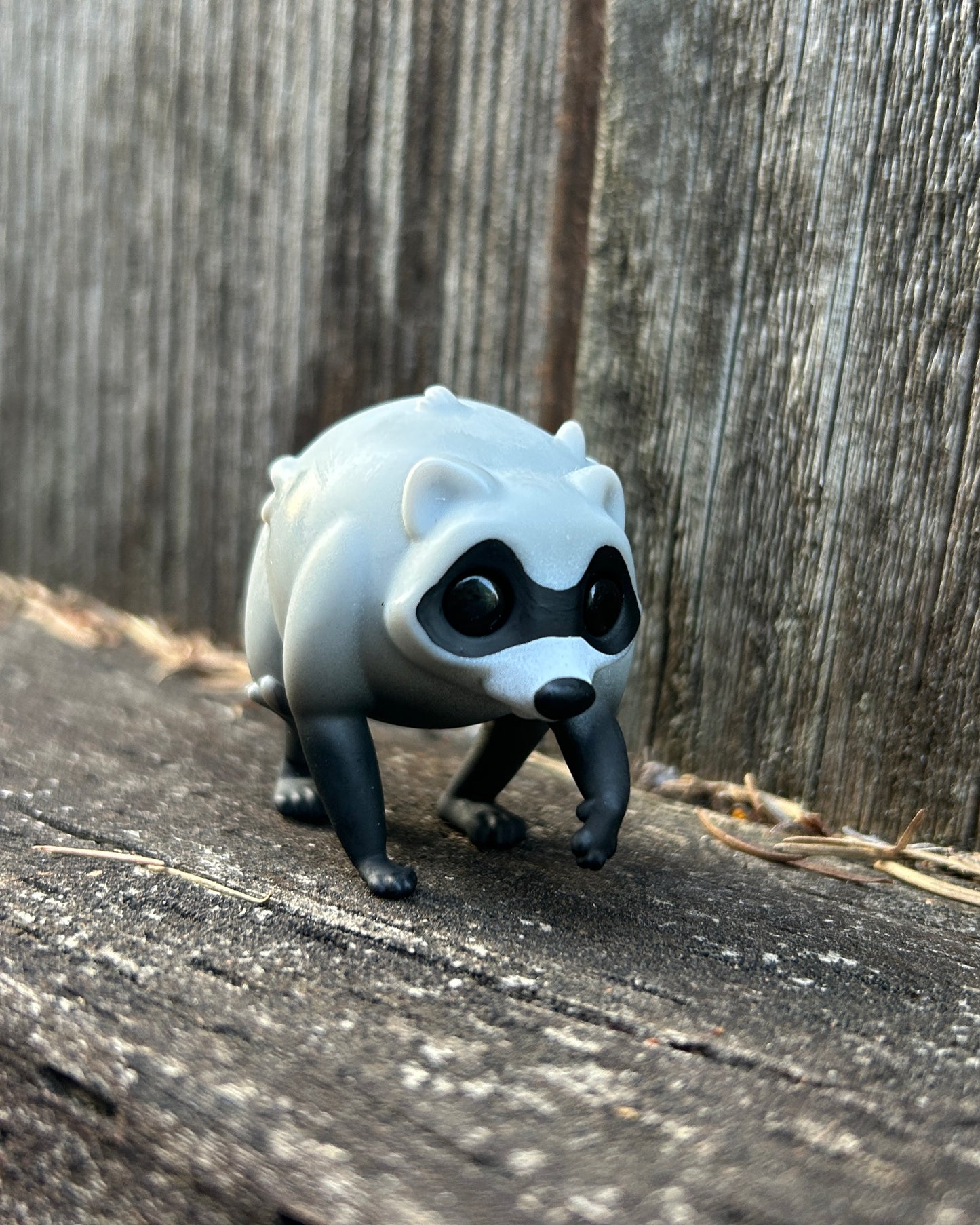 Jimothy the raccoon