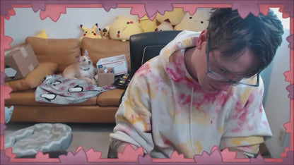 Video of Orange paint discussion